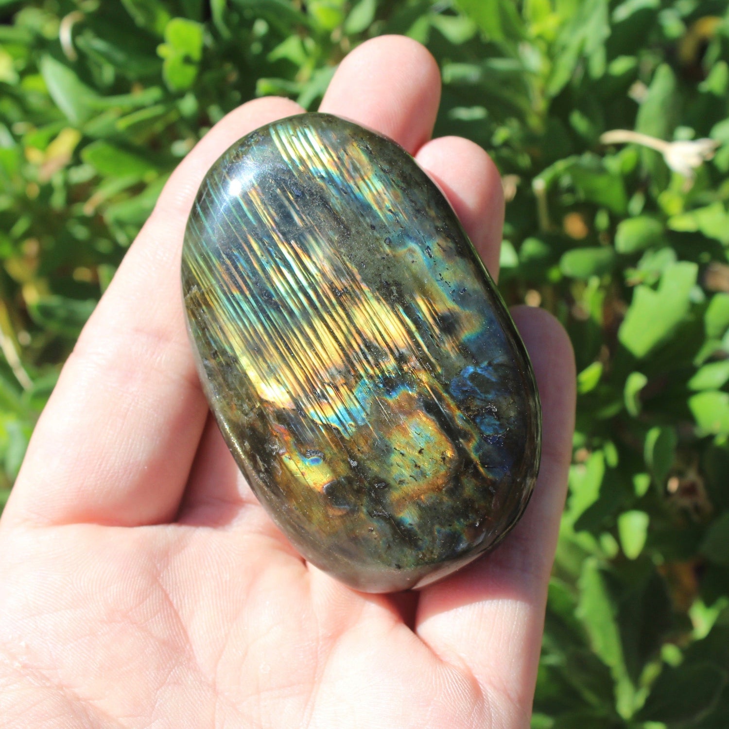 Labradorite