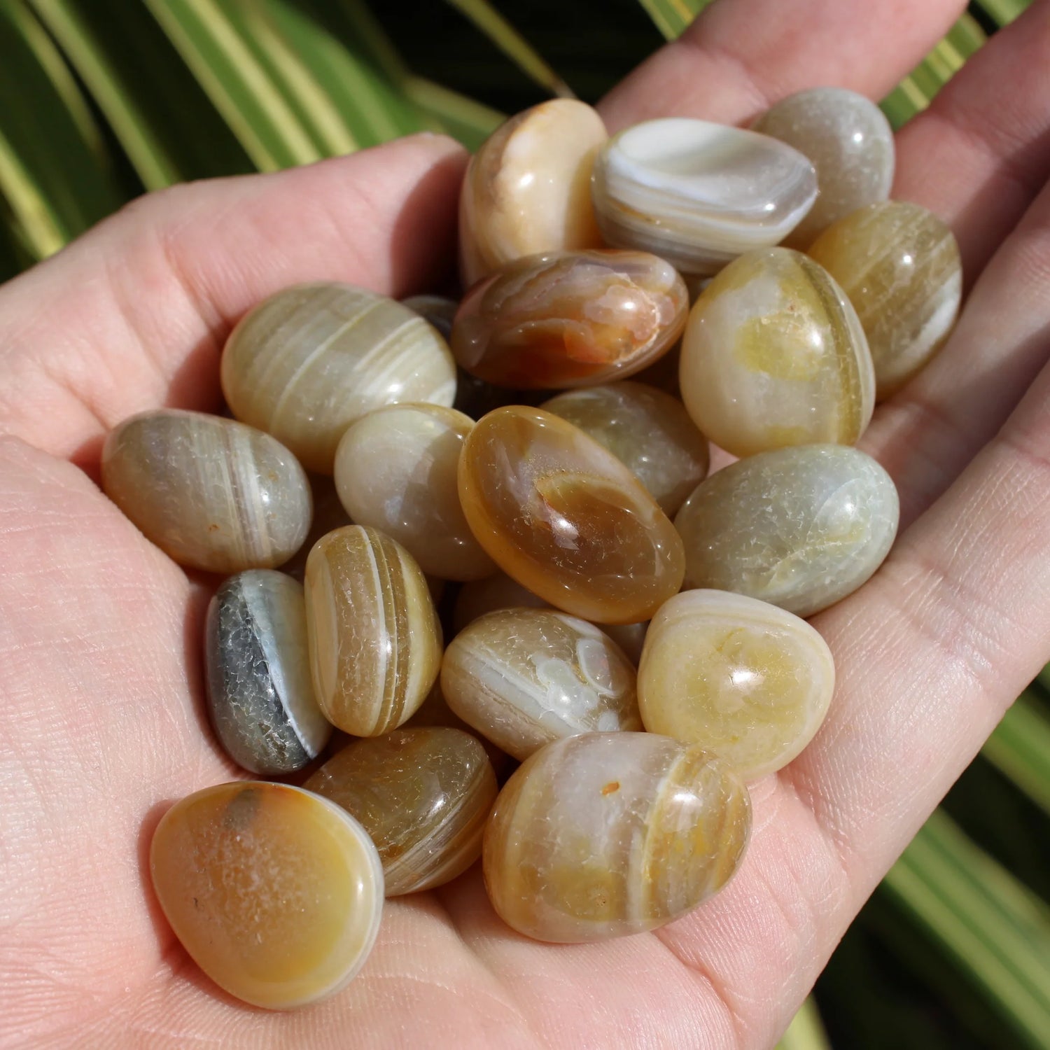 Banded Agate