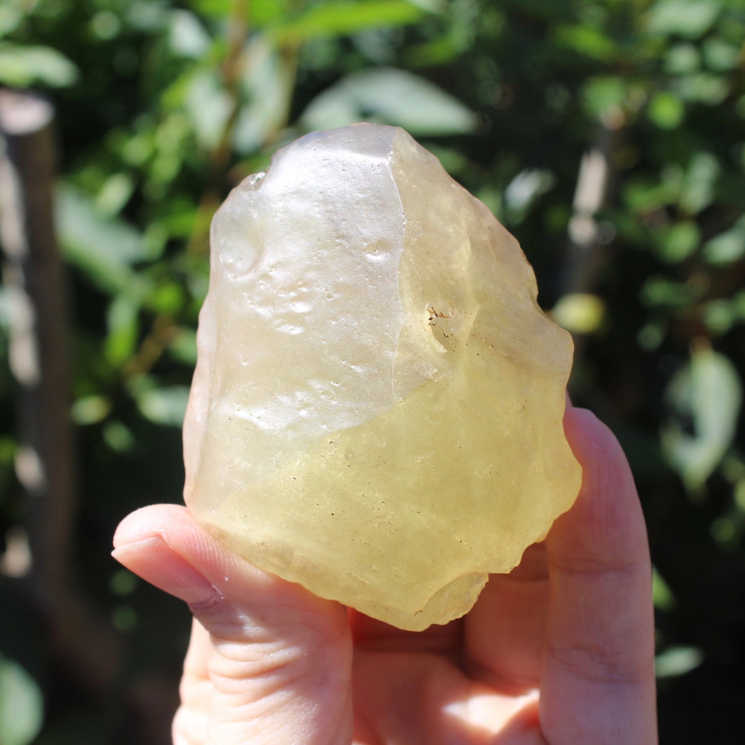 Libyan Desert Glass