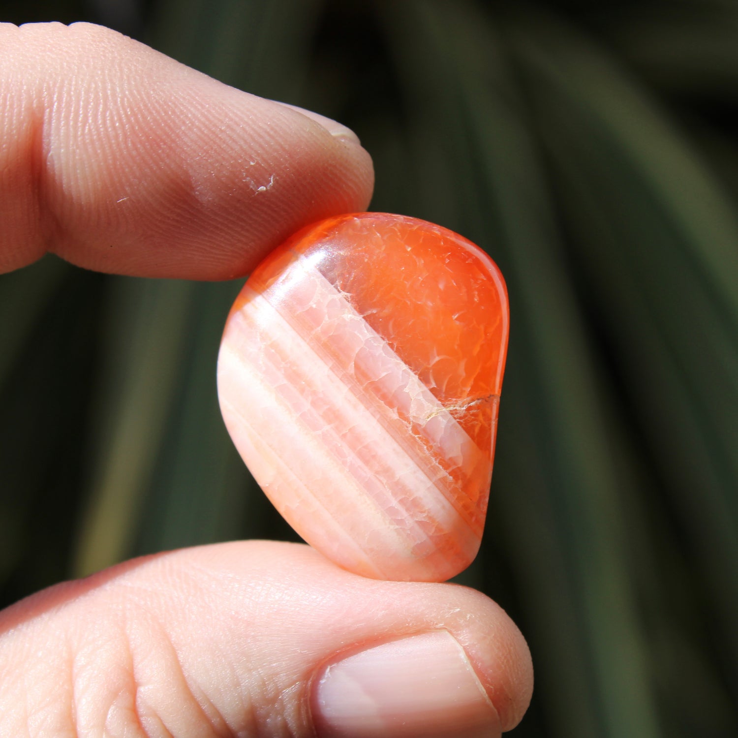 Carnelian