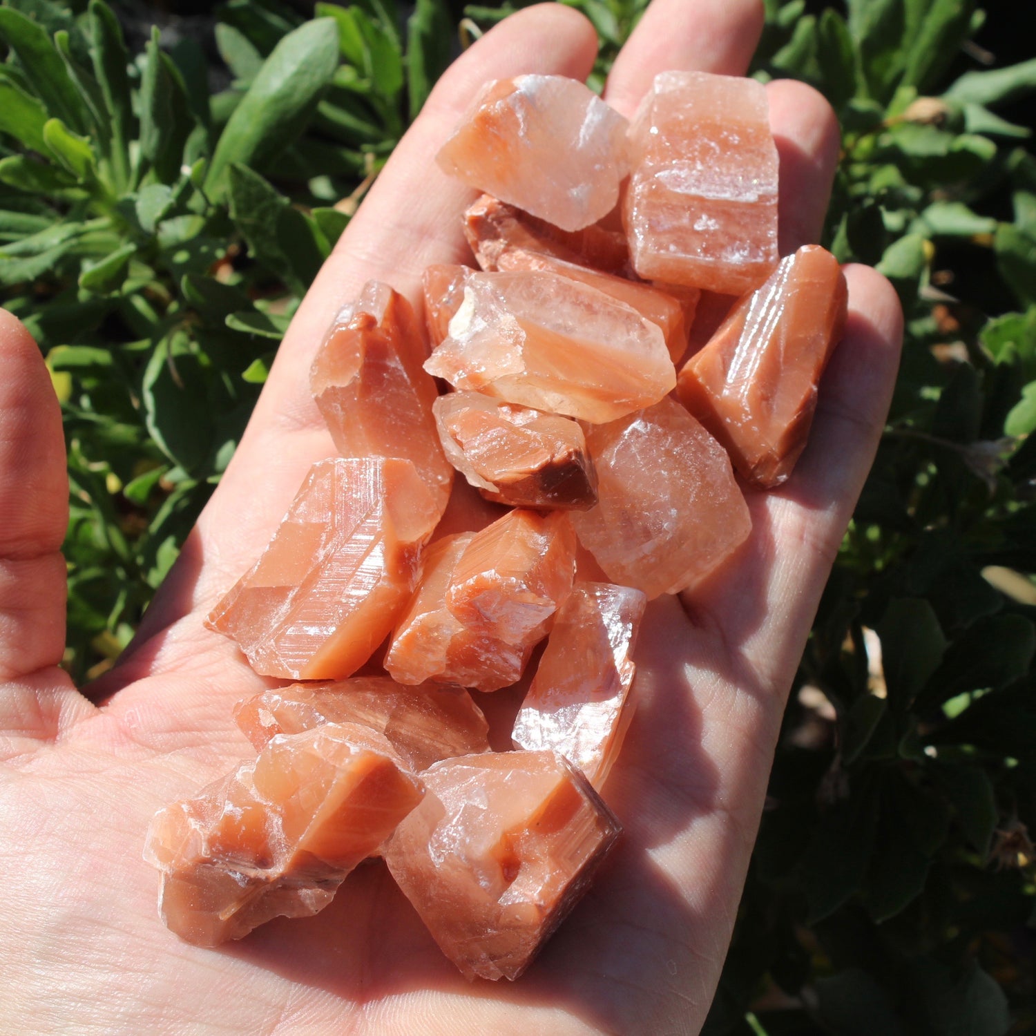 Red Calcite