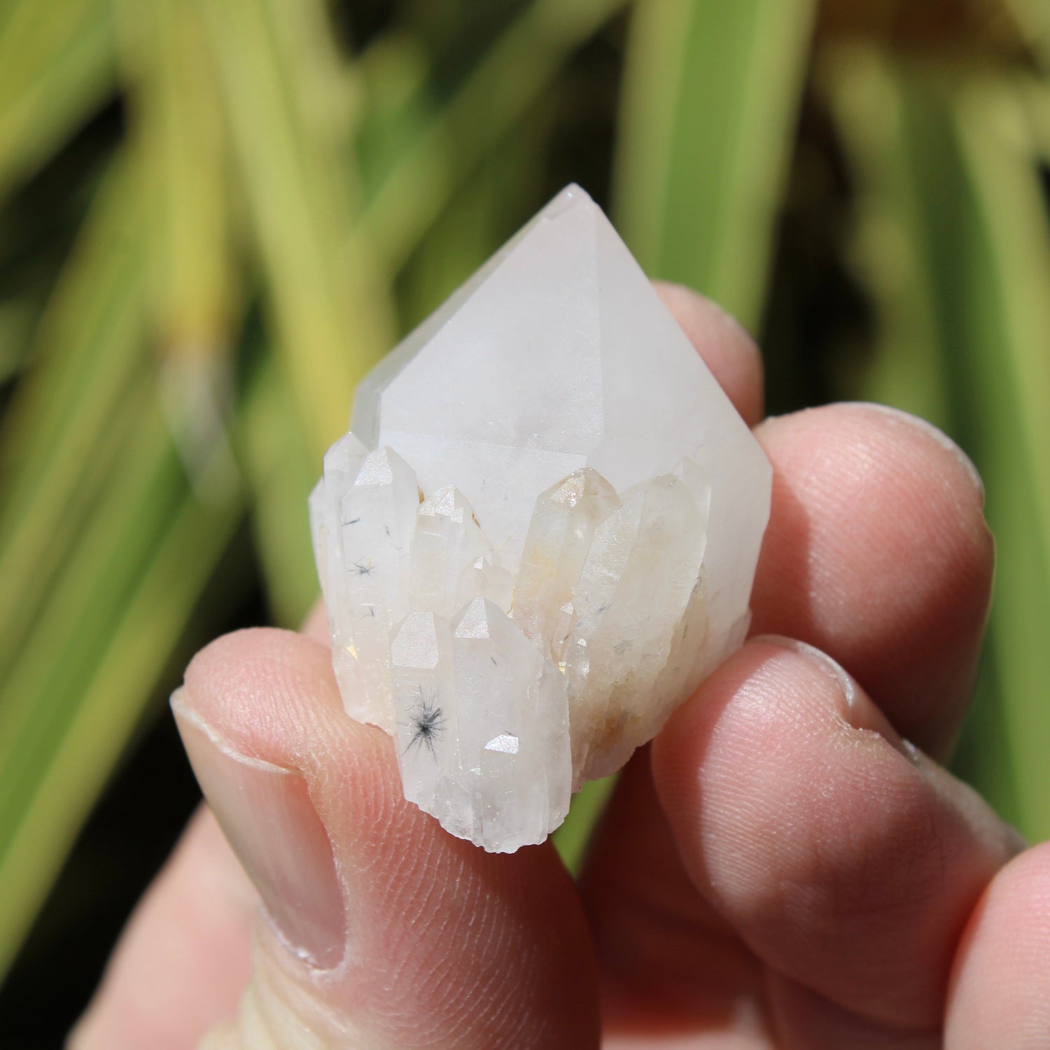 Hollandite Quartz