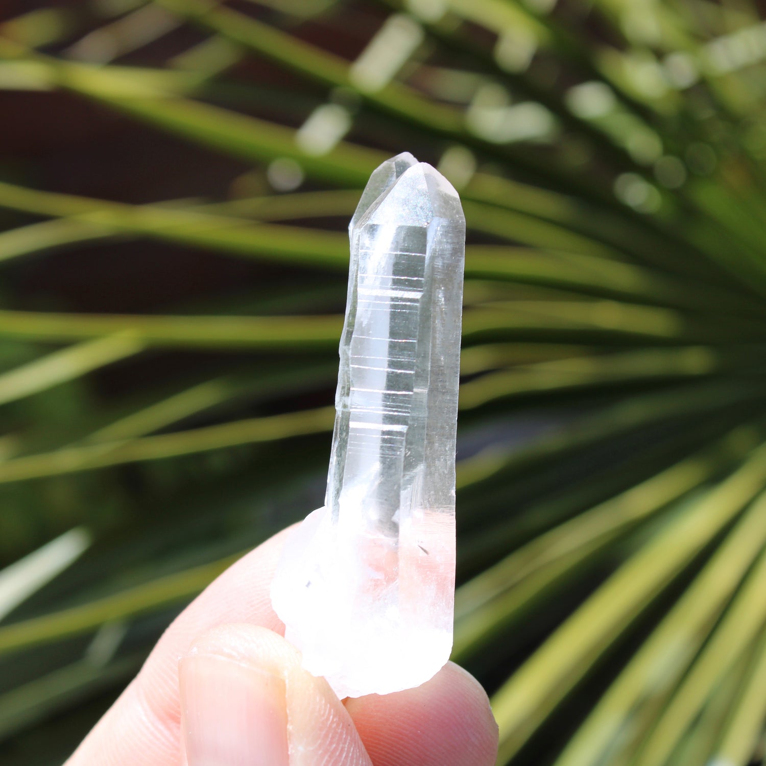 Lemurian Quartz