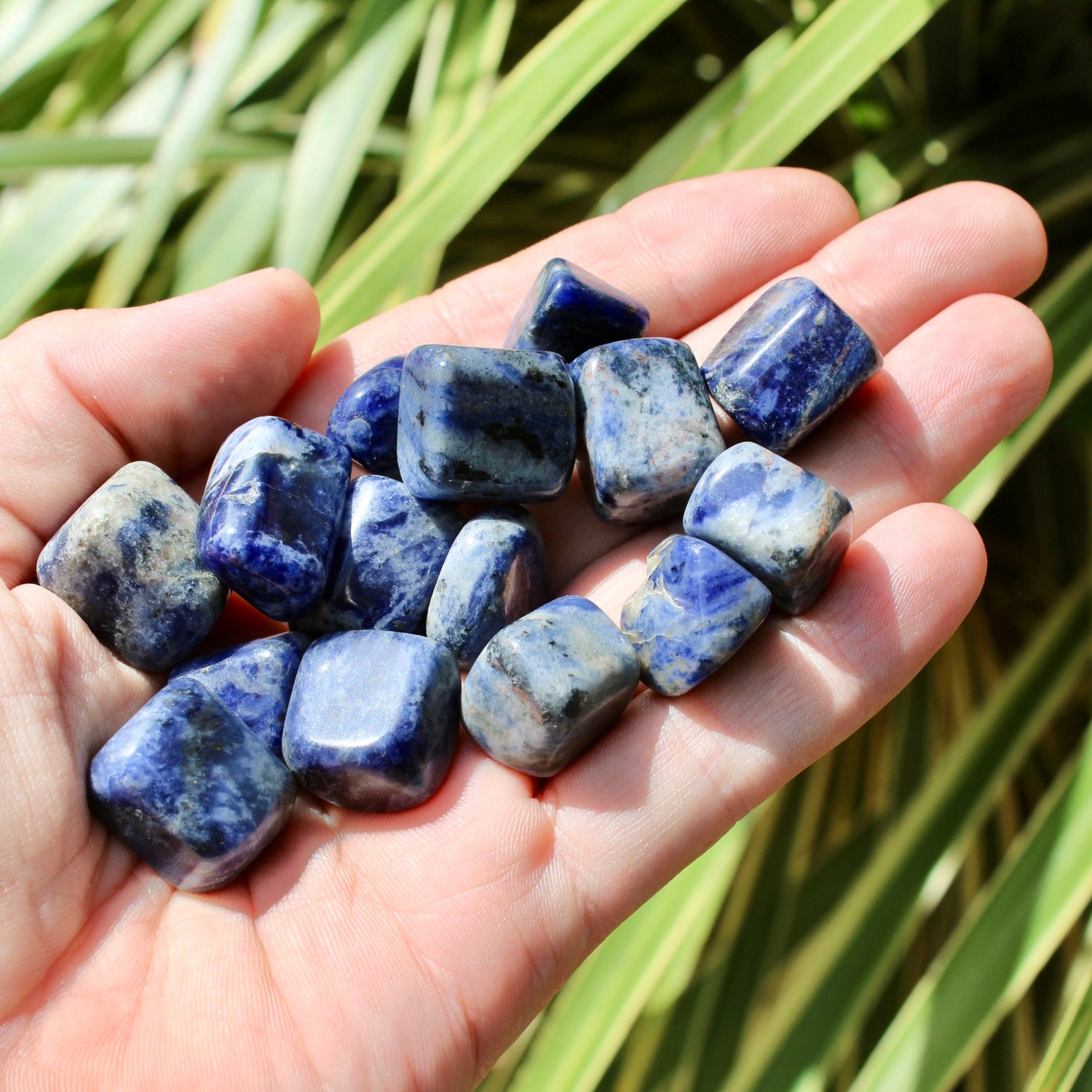 Sodalite