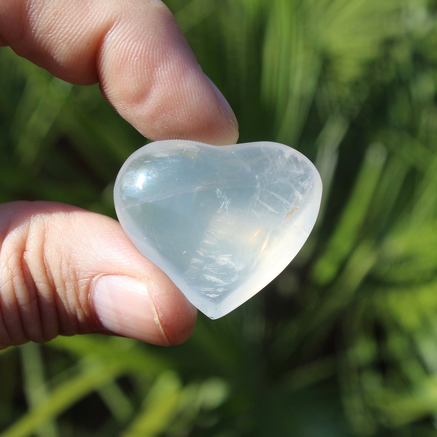 Girasol Quartz