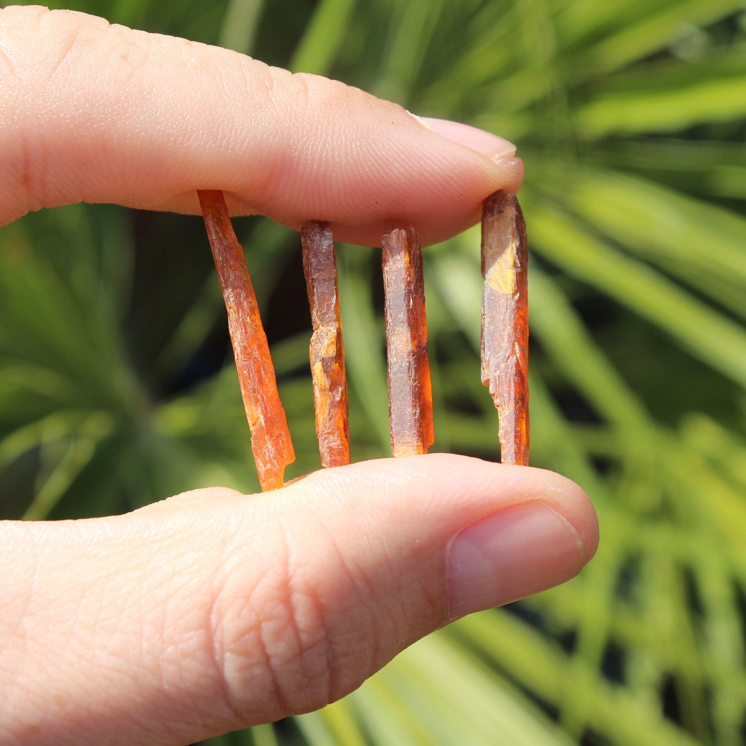 Orange Kyanite