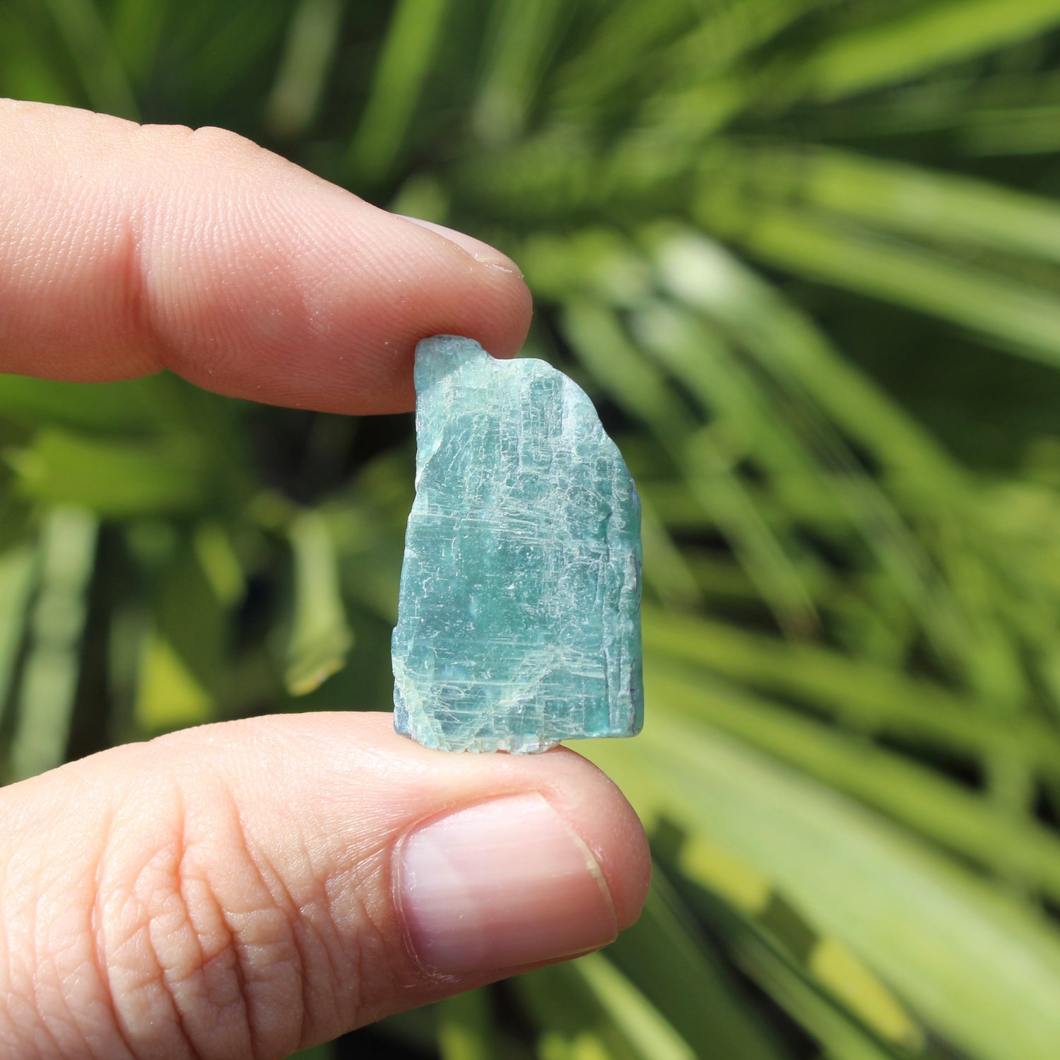 Green Kyanite