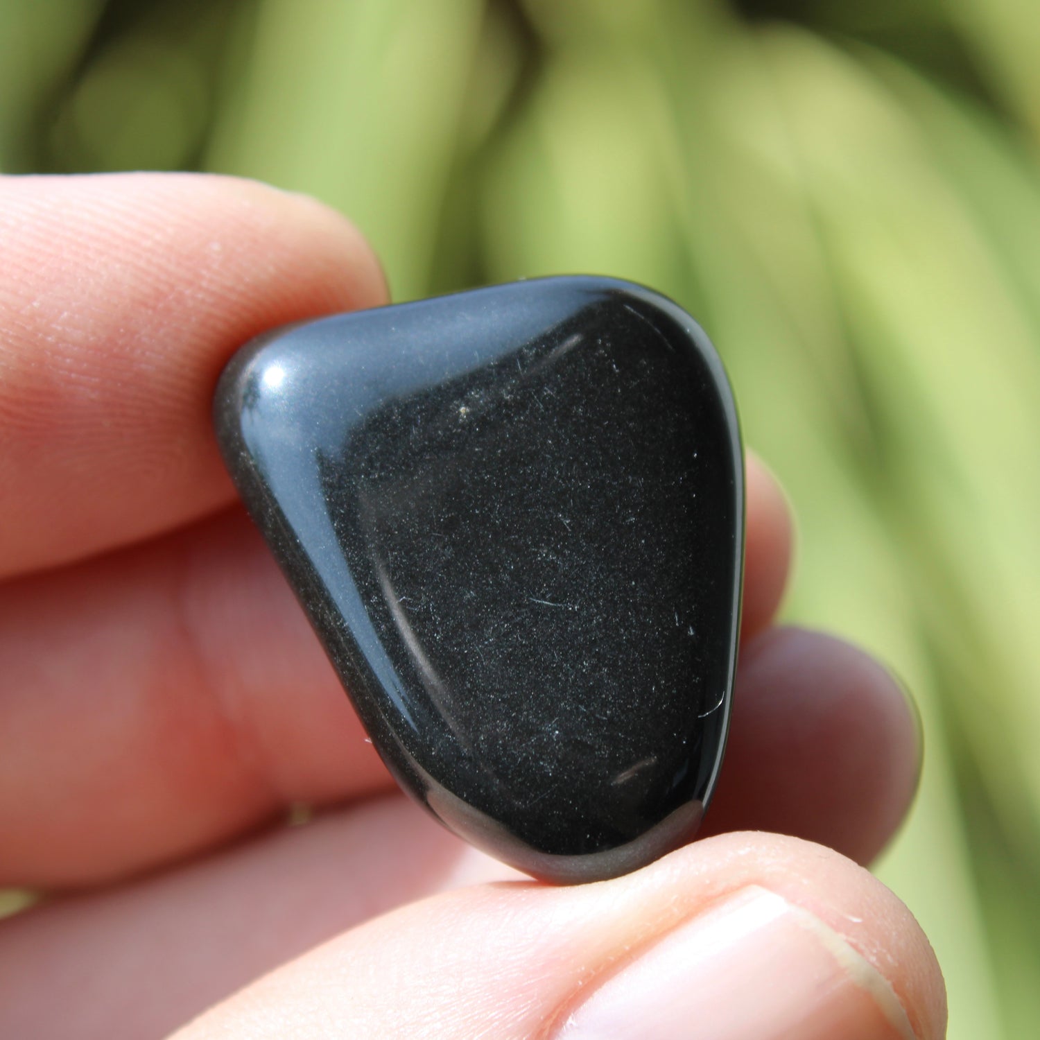 Black Onyx