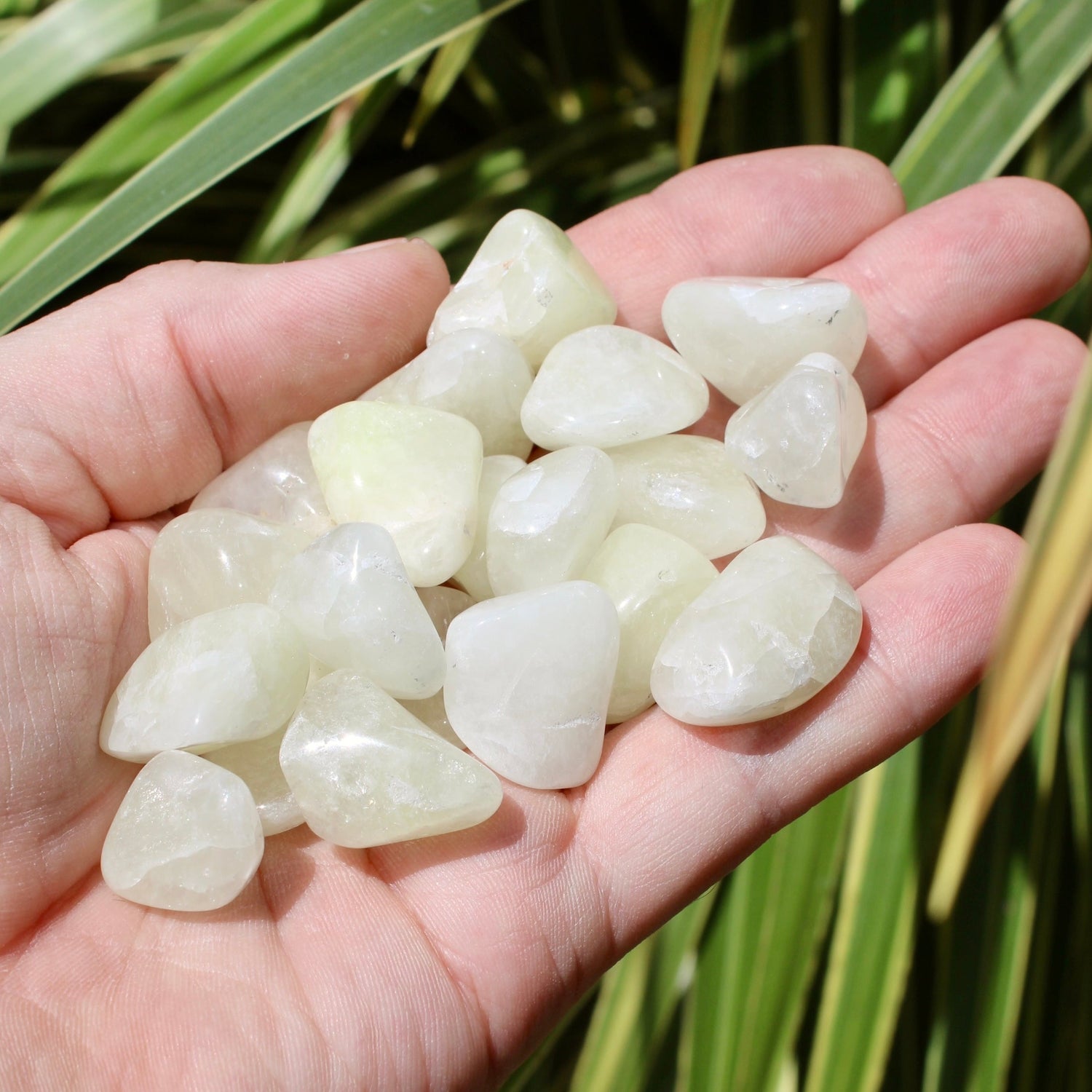 Sulphur in Quartz