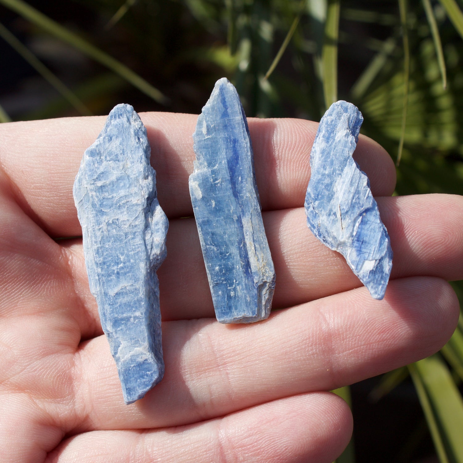 Blue Kyanite