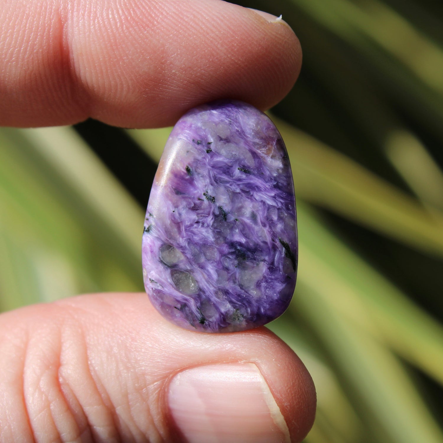 Charoite