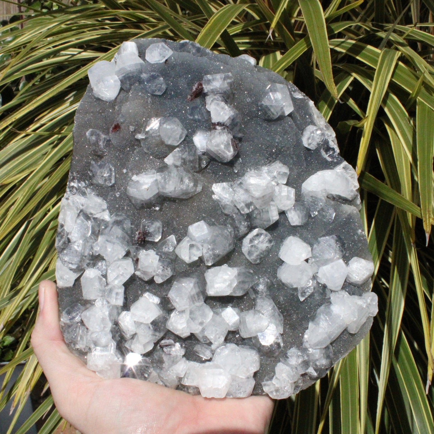 Blue Chalcedony with Apophyllite