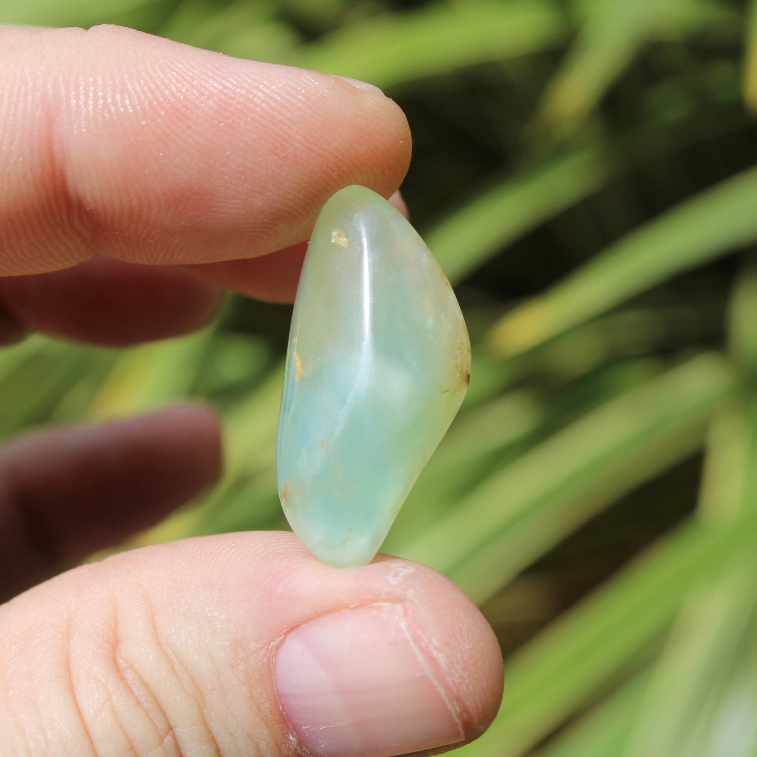 Andean Blue Opal