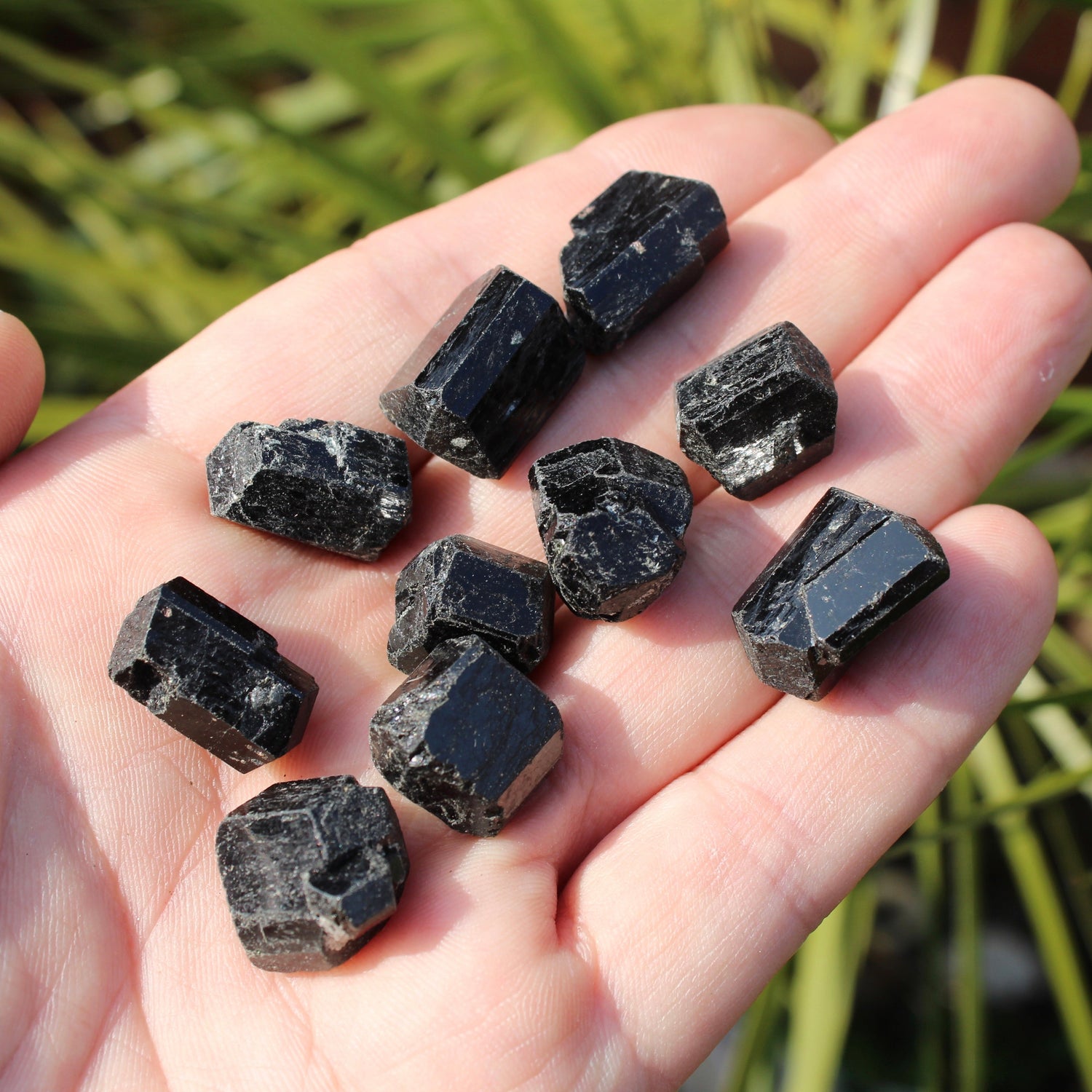 Black Tourmaline