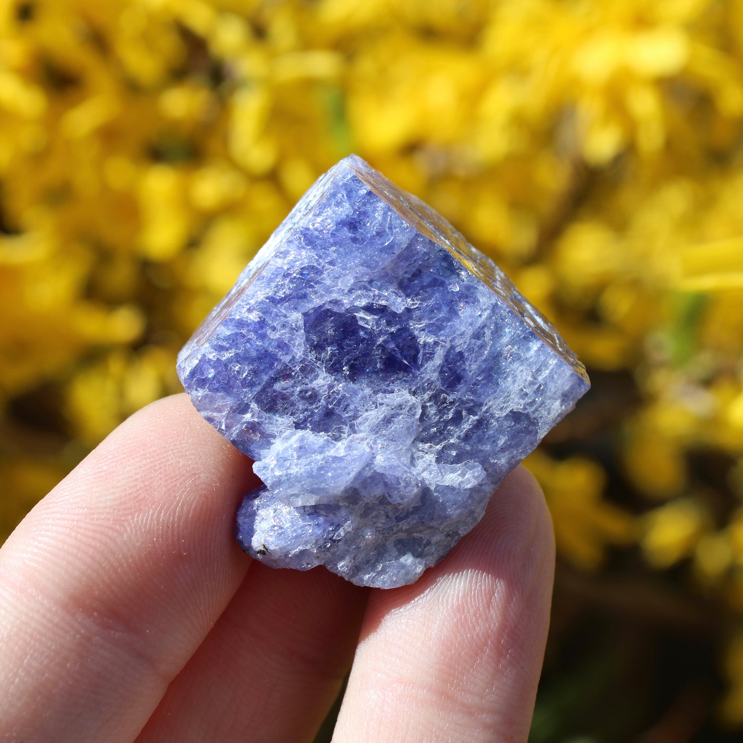 Tanzanite