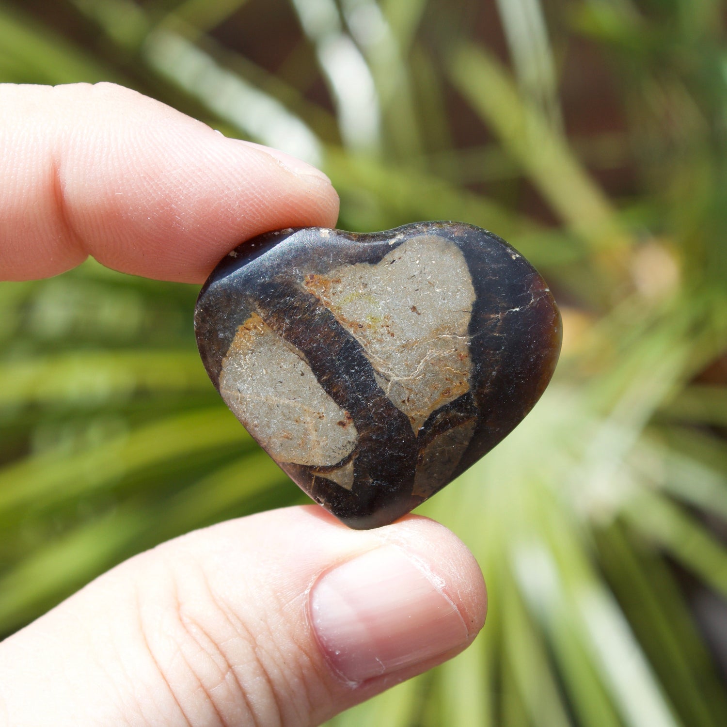 Septarian