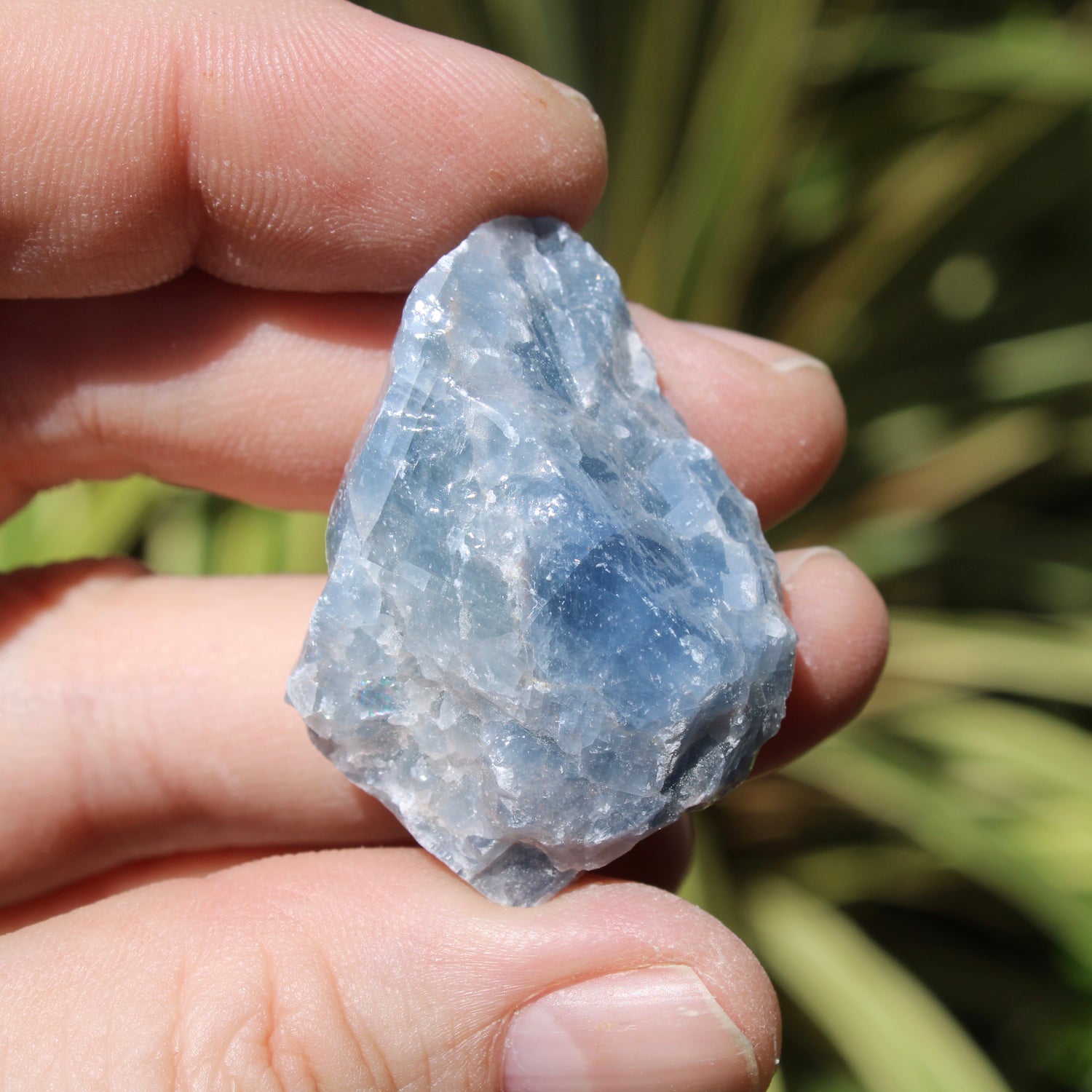 Blue Calcite