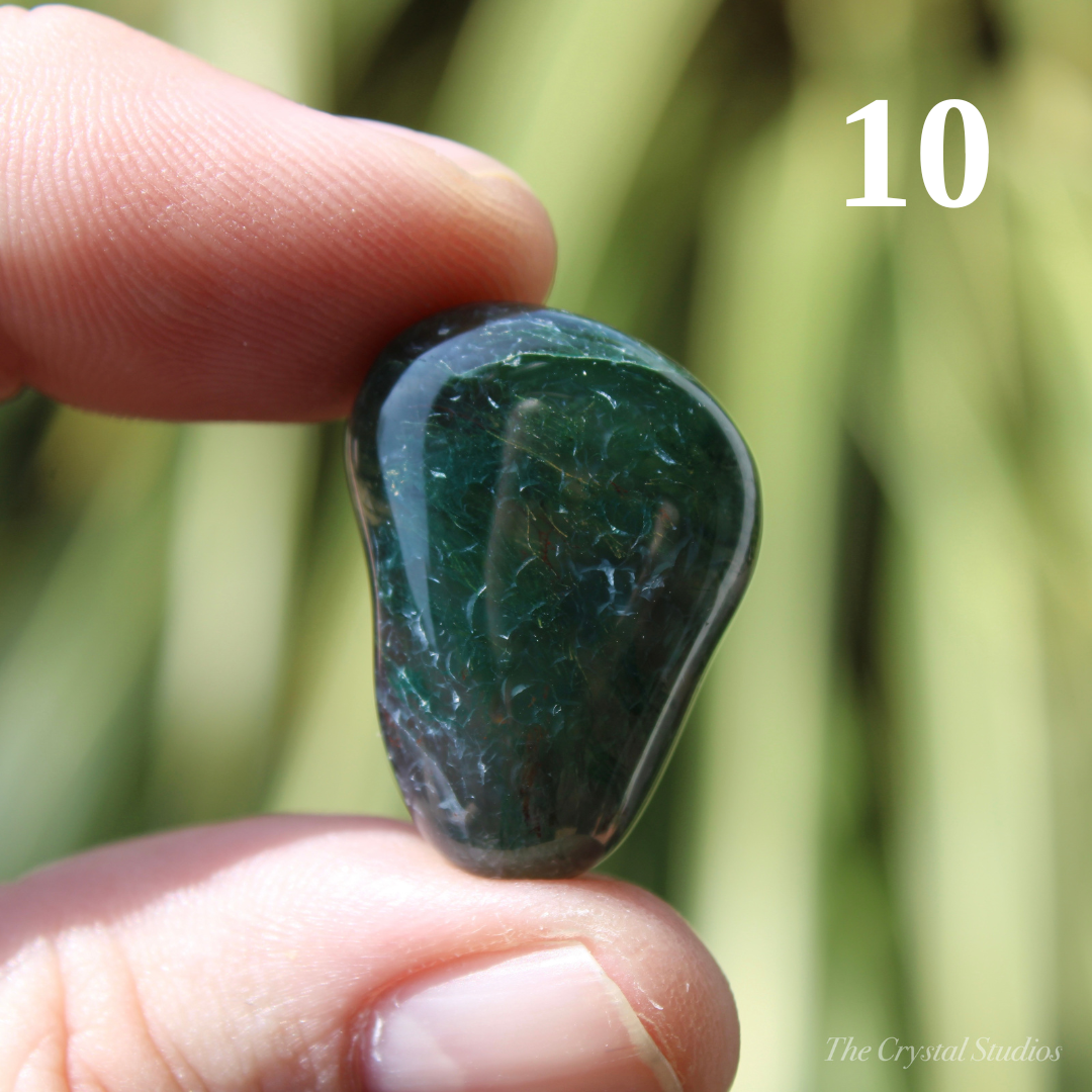 Moss Agate Polished Crystal Tumblestones