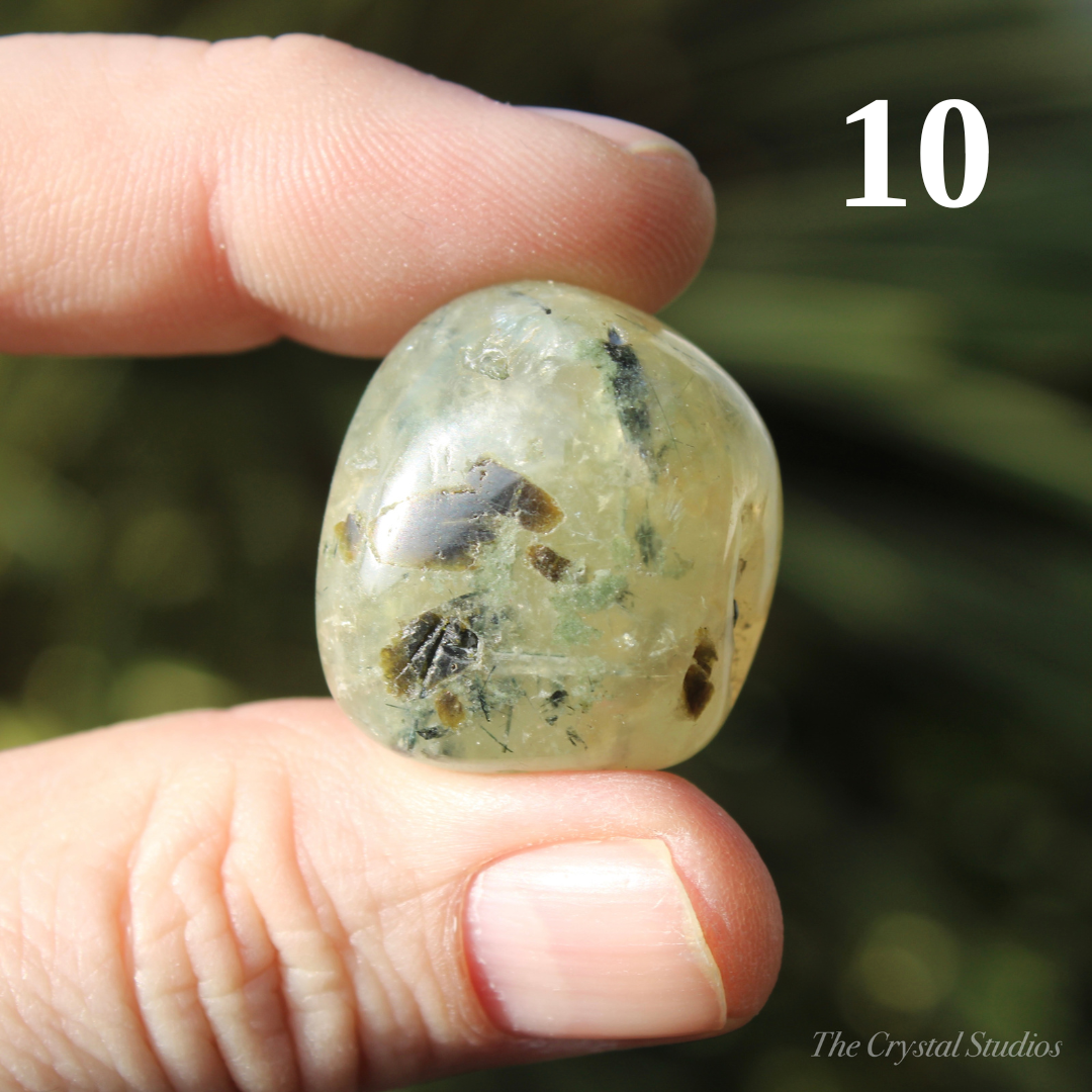 Prehnite Polished Crystal Tumblestones