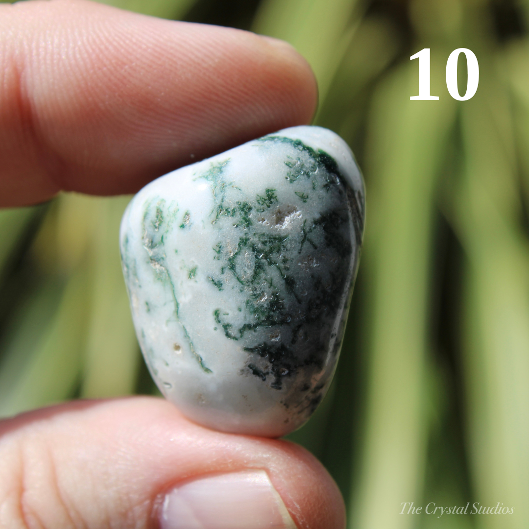 Tree Agate Polished Crystal Tumblestones