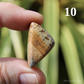 Picture Jasper Polished Crystal Tumblestones