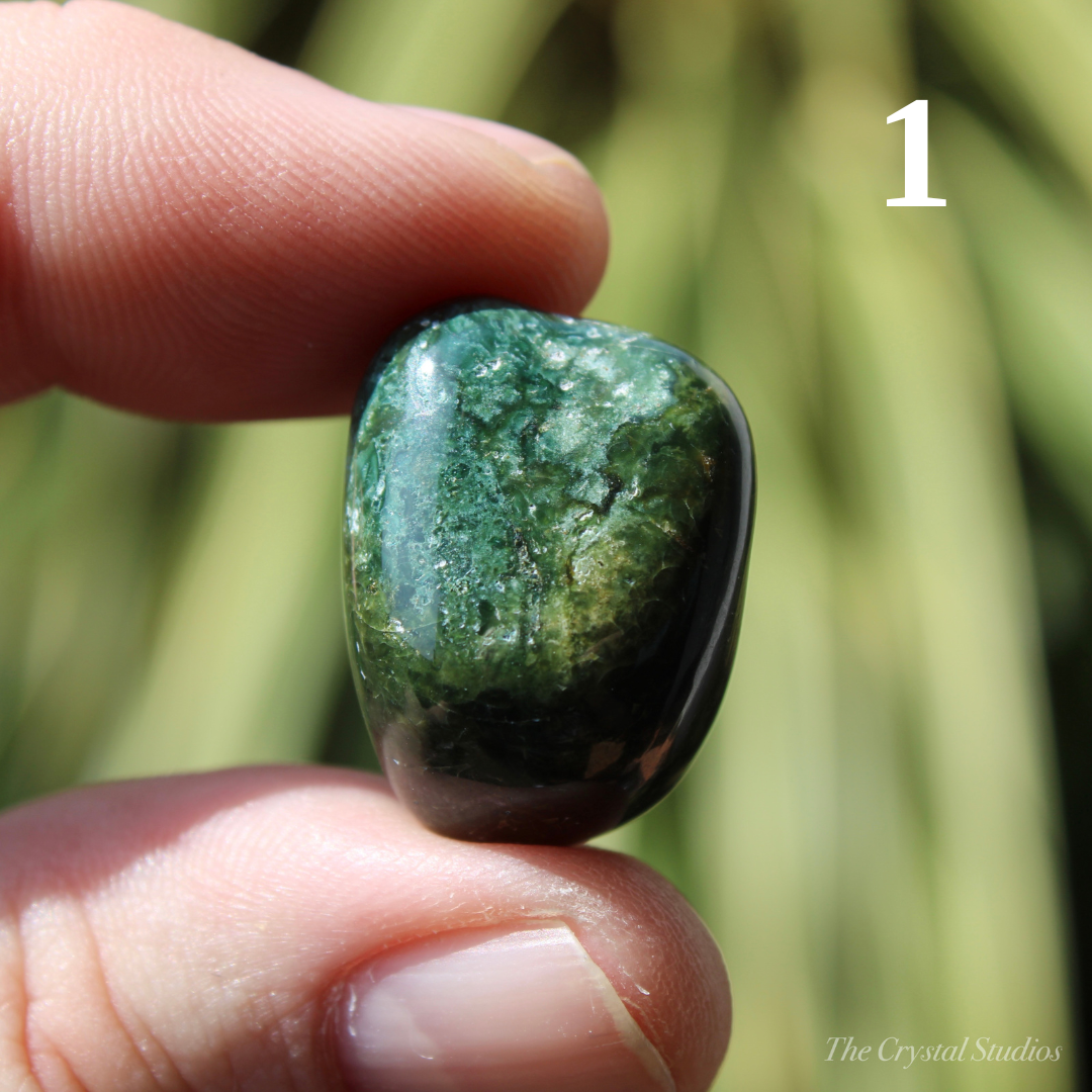 Moss Agate Polished Crystal Tumblestones