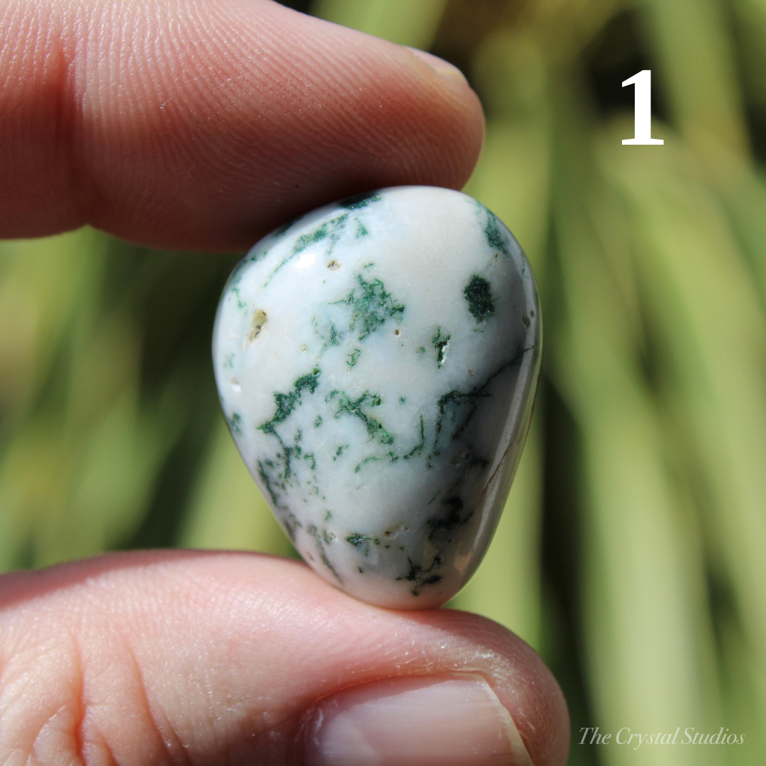 Tree Agate Polished Crystal Tumblestones