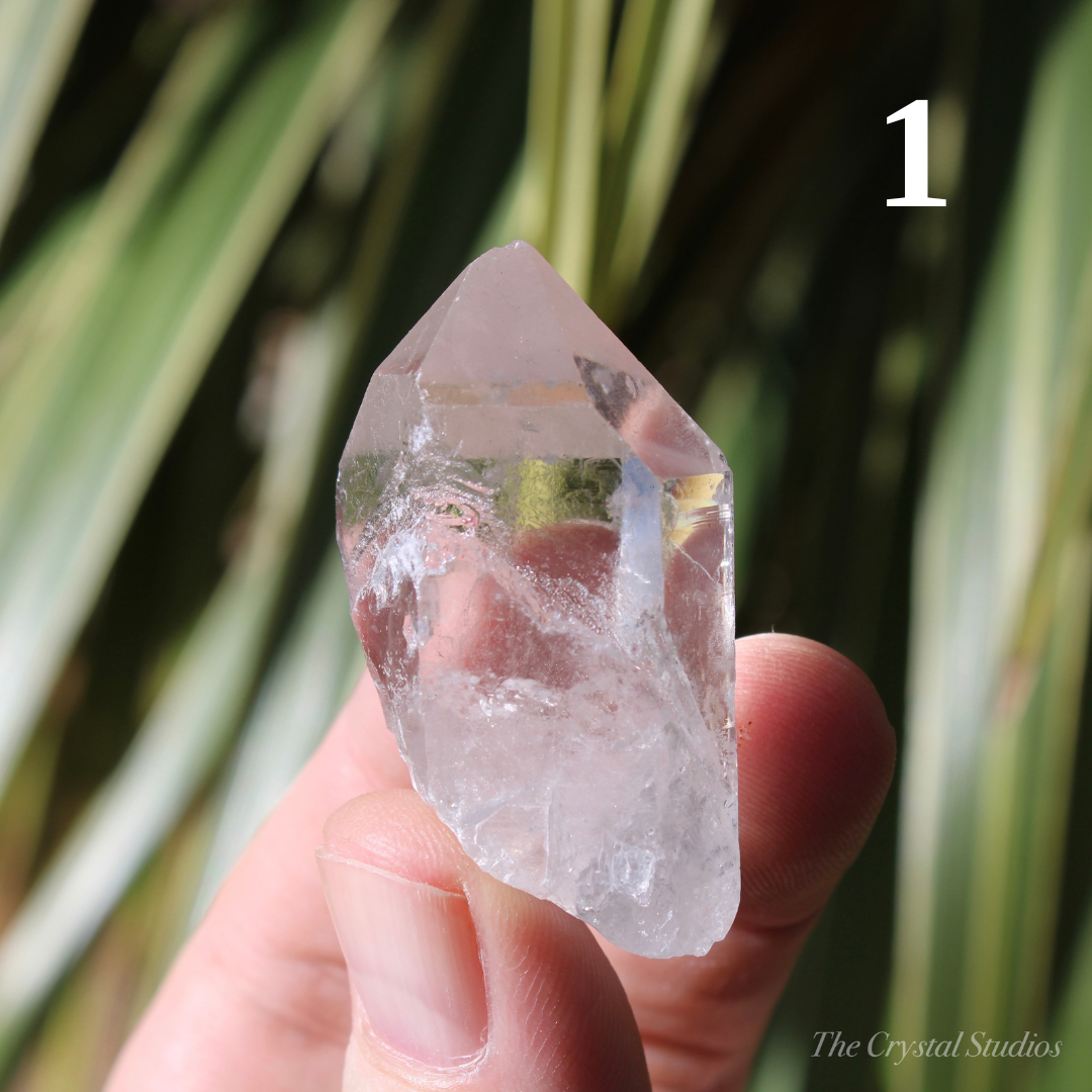 Clear Quartz Small Chubby Natural Crystal Points