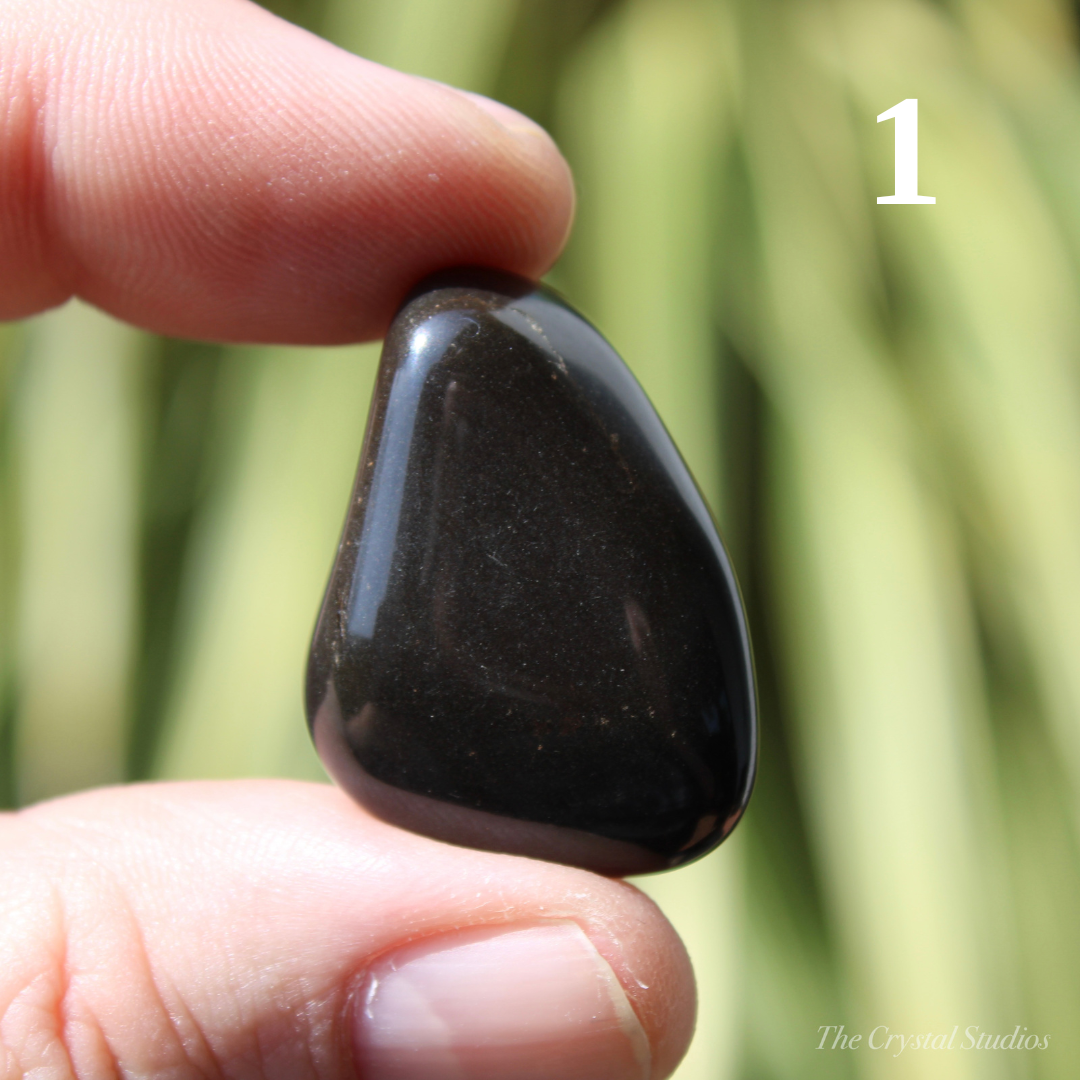 Black Onyx Polished Crystal Tumblestones