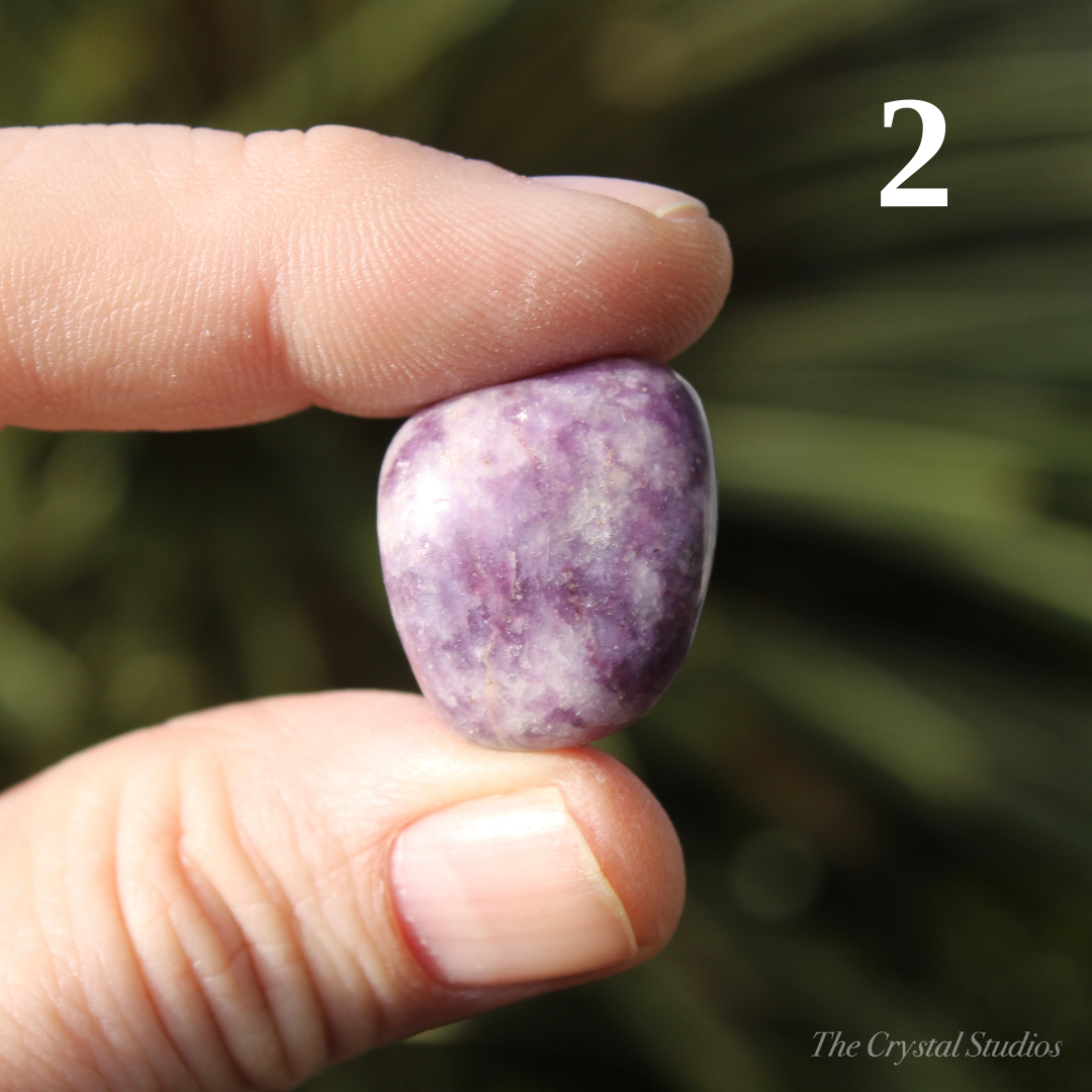 Lepidolite Polished Crystal Tumblestones