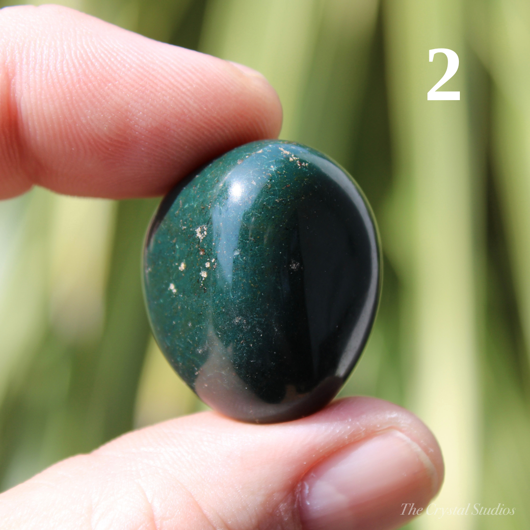 Bloodstone Polished Crystal Tumblestones