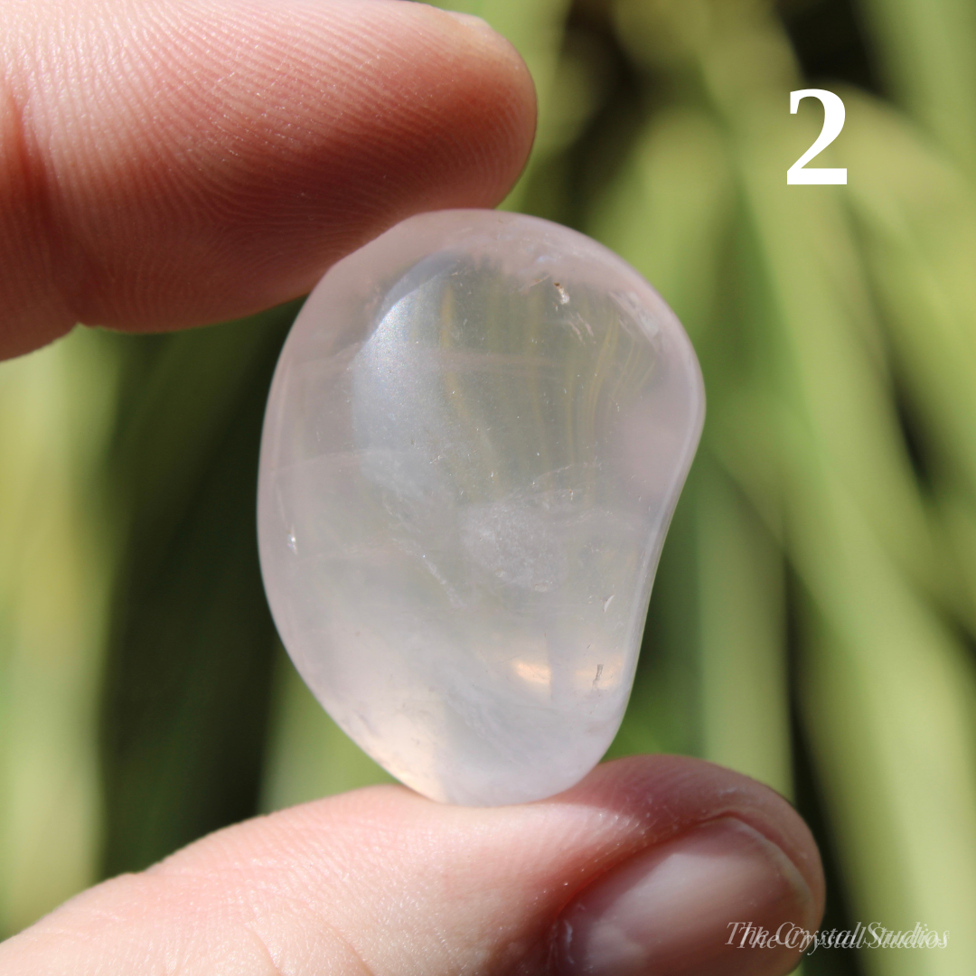 Rose Quartz Polished Crystal Tumblestones