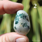 Tree Agate Polished Crystal Tumblestones