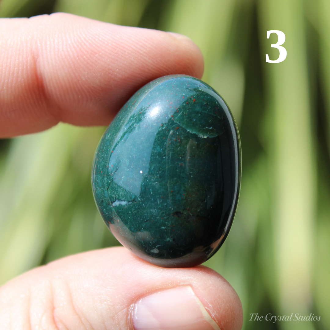 Bloodstone Polished Crystal Tumblestones