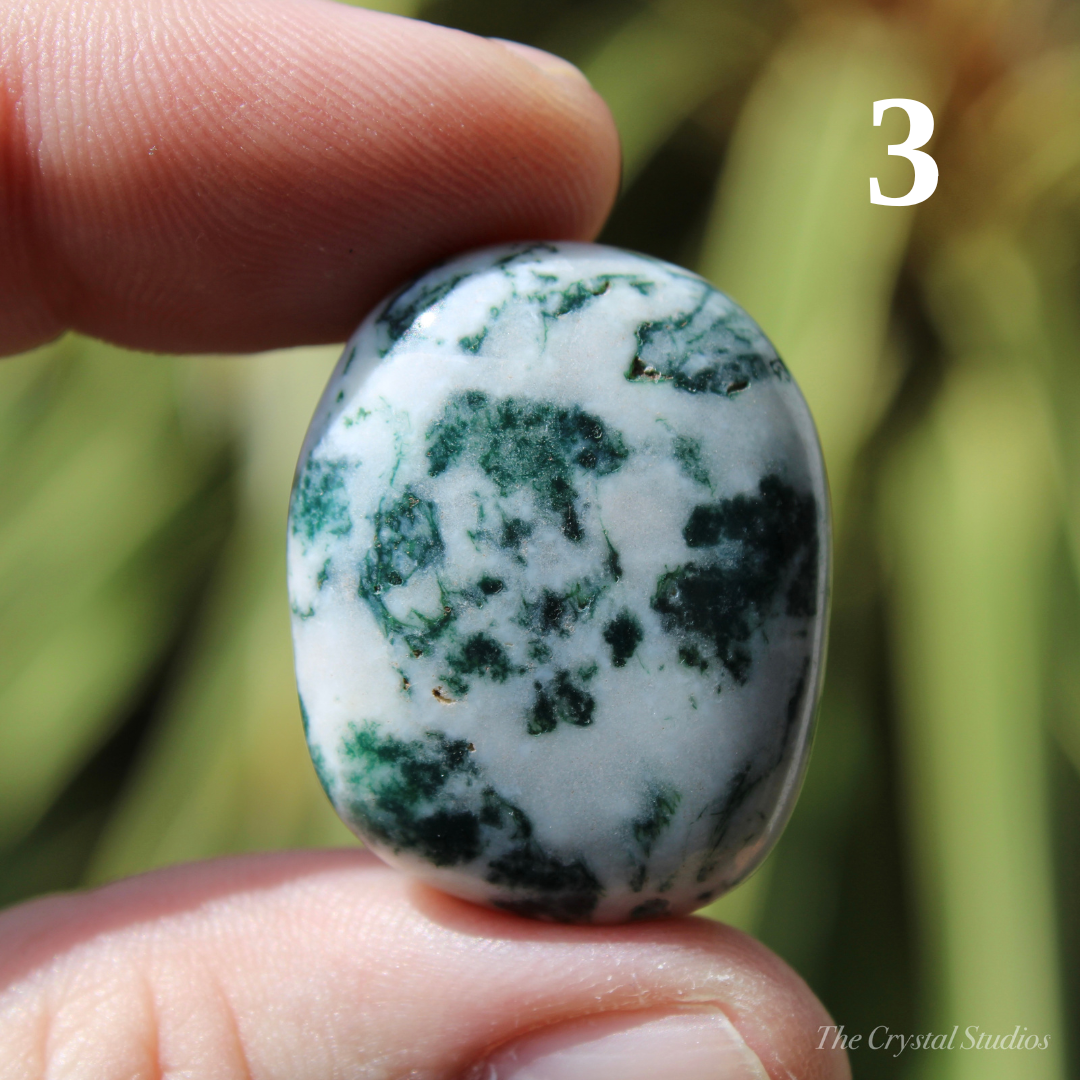 Tree Agate Polished Crystal Tumblestones