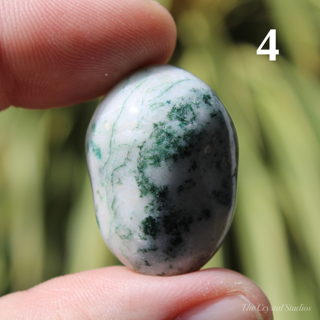 Tree Agate Polished Crystal Tumblestones