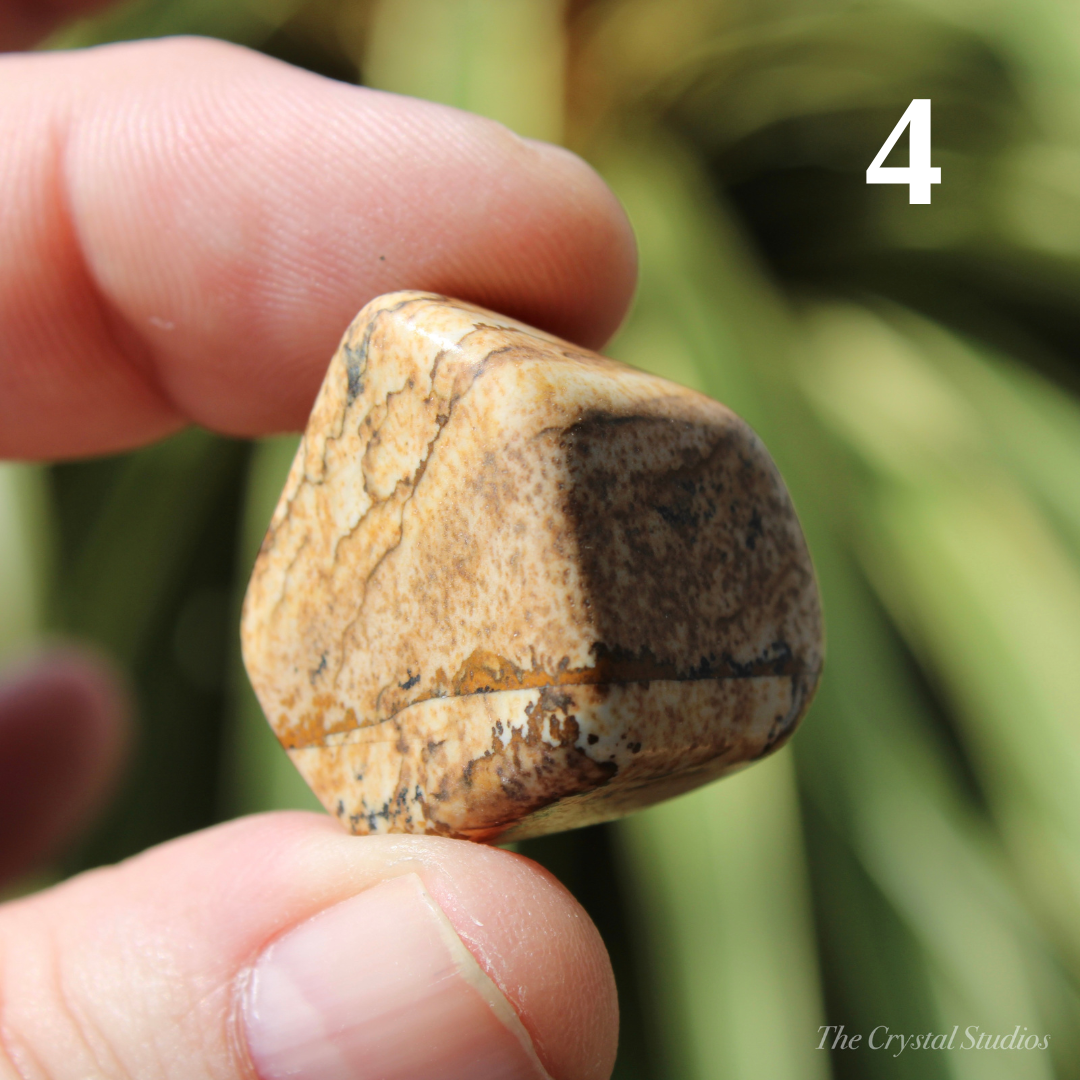 Picture Jasper Polished Crystal Tumblestones