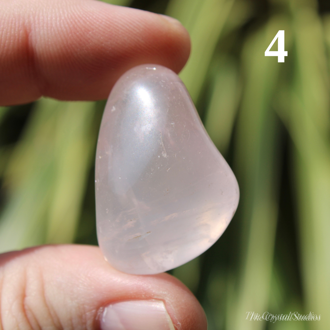 Rose Quartz Polished Crystal Tumblestones