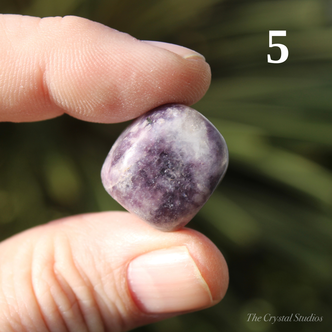 Lepidolite Polished Crystal Tumblestones