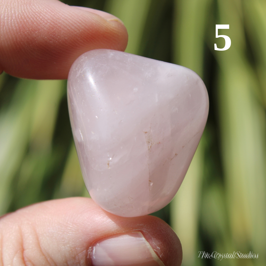 Rose Quartz Polished Crystal Tumblestones