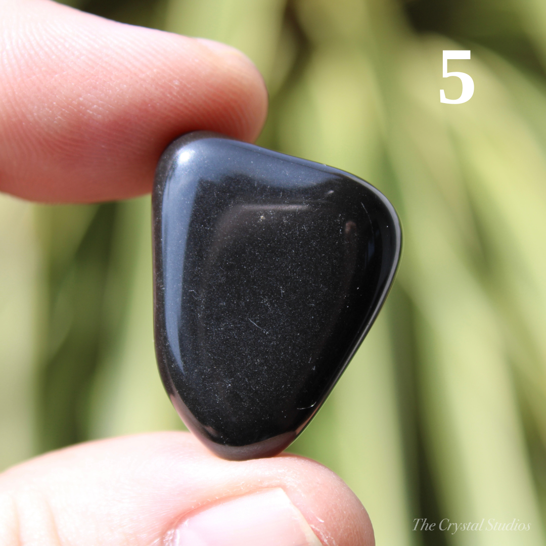 Black Onyx Polished Crystal Tumblestones