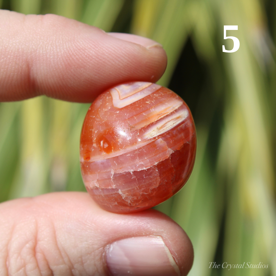 Carnelian A+ Polished Crystal Tumblestones