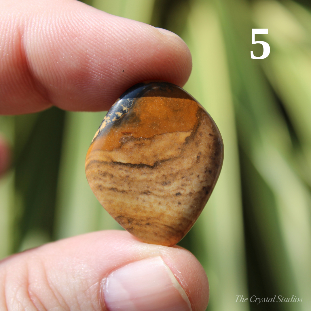 Picture Jasper Polished Crystal Tumblestones