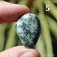 Tree Agate Polished Crystal Tumblestones