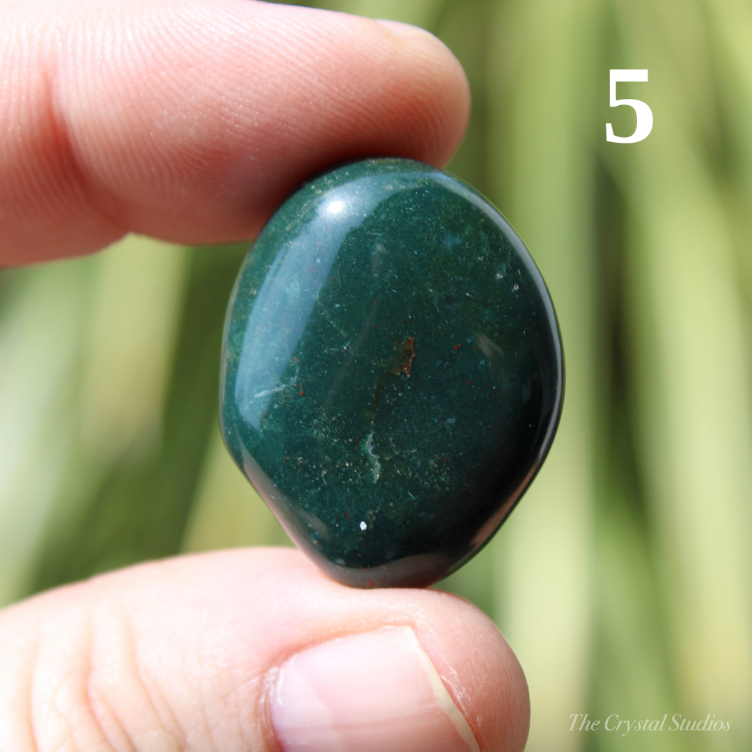 Bloodstone Polished Crystal Tumblestones