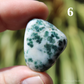 Tree Agate Polished Crystal Tumblestones