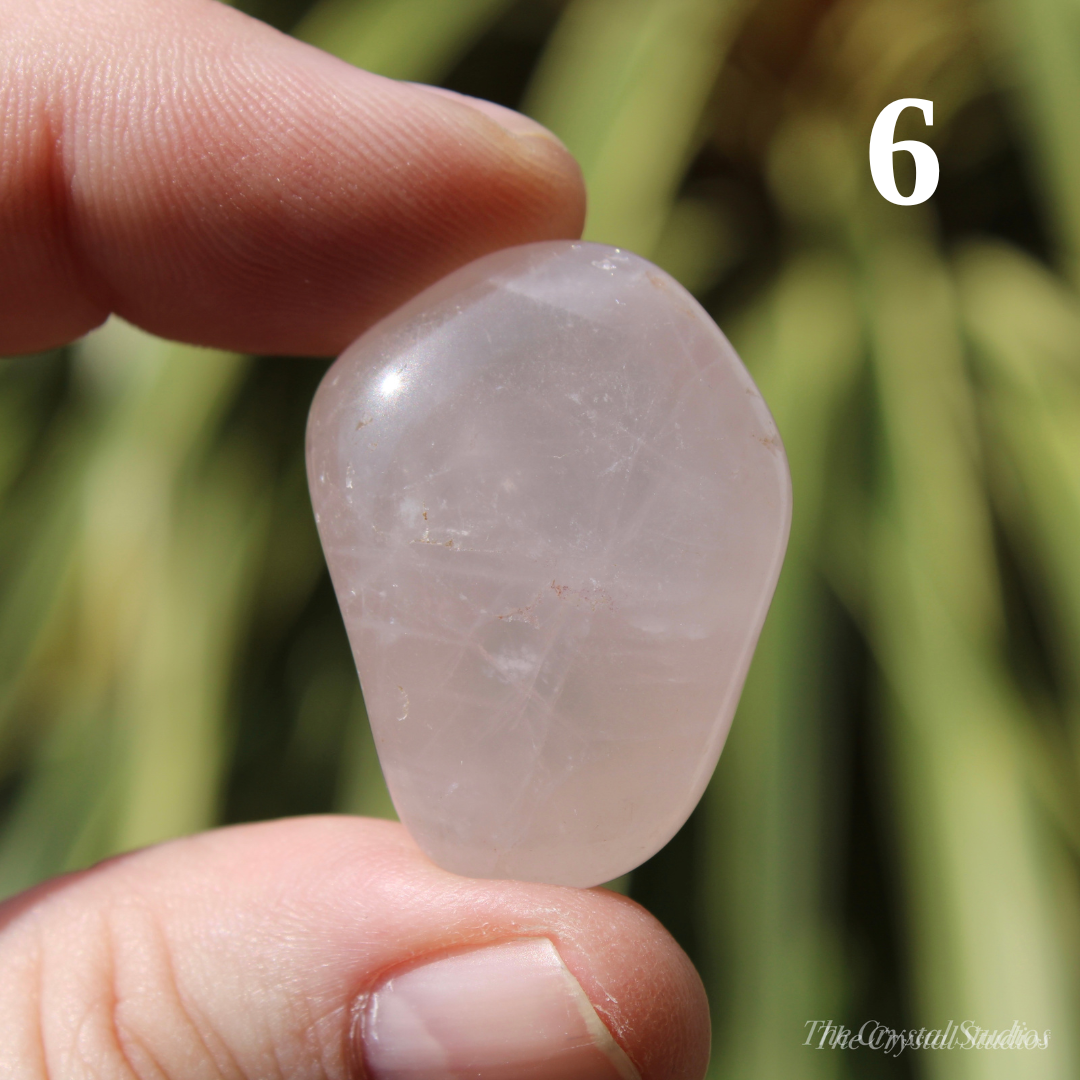 Rose Quartz Polished Crystal Tumblestones