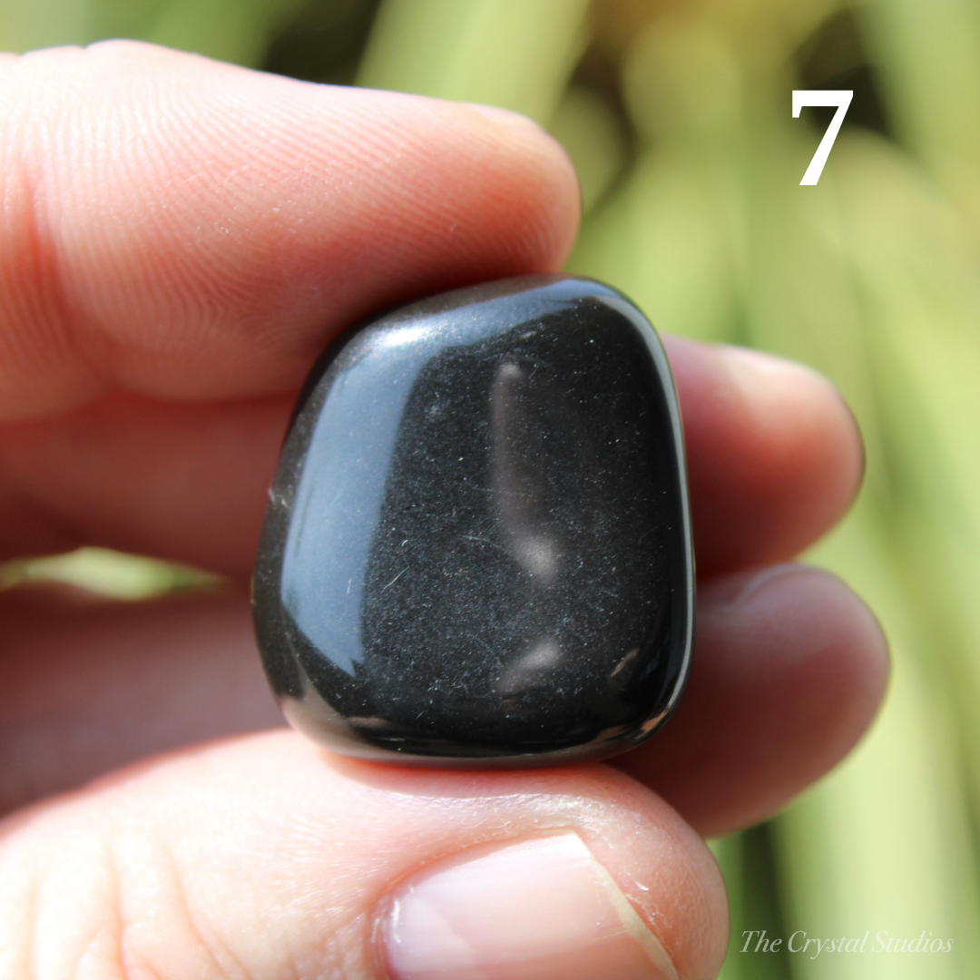 Black Onyx Polished Crystal Tumblestones