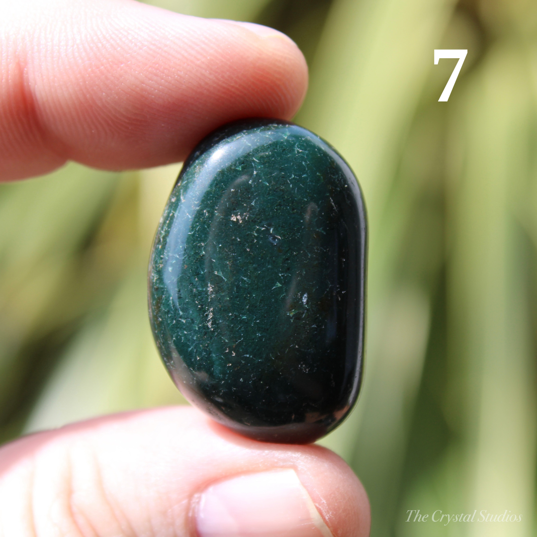 Bloodstone Polished Crystal Tumblestones