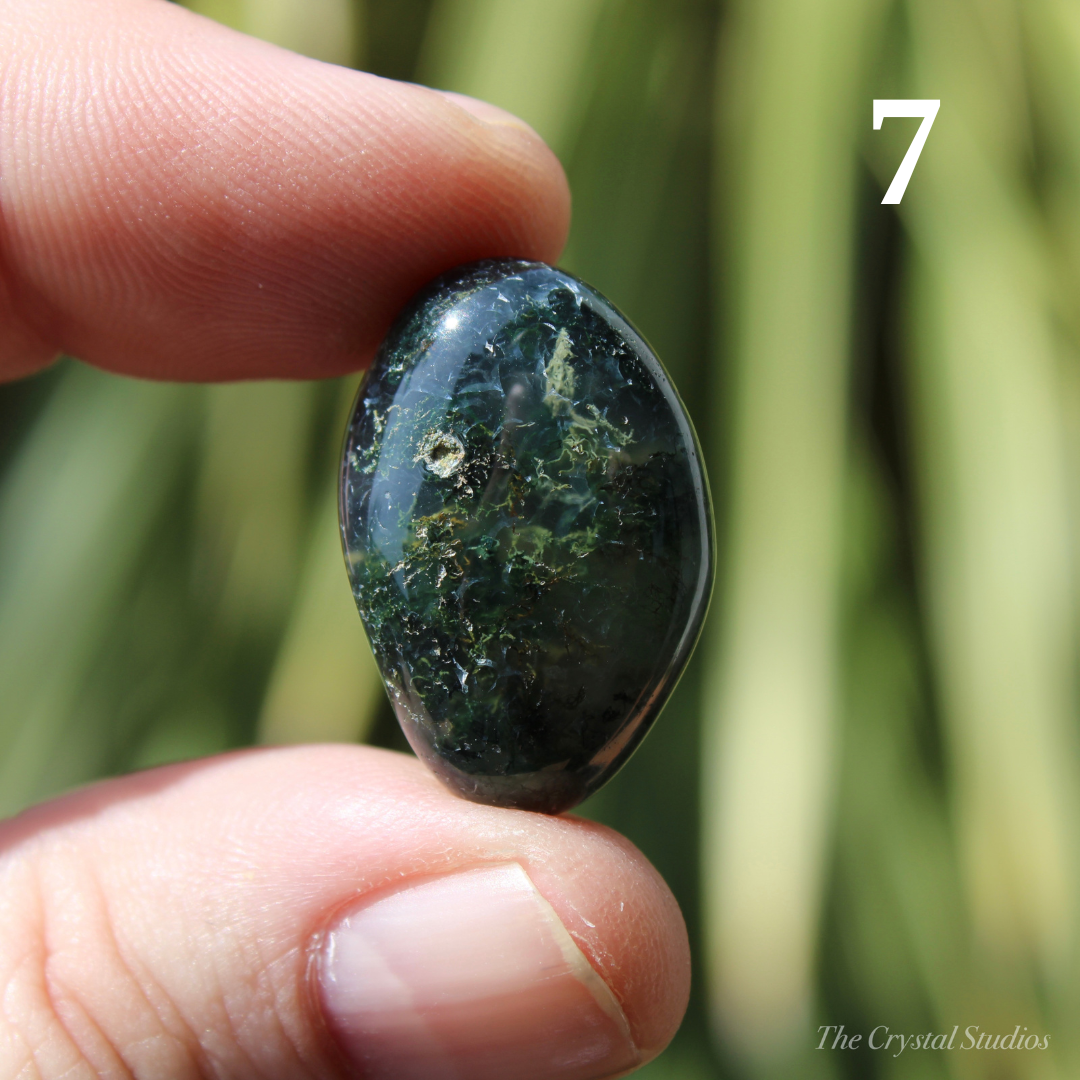 Moss Agate Polished Crystal Tumblestones